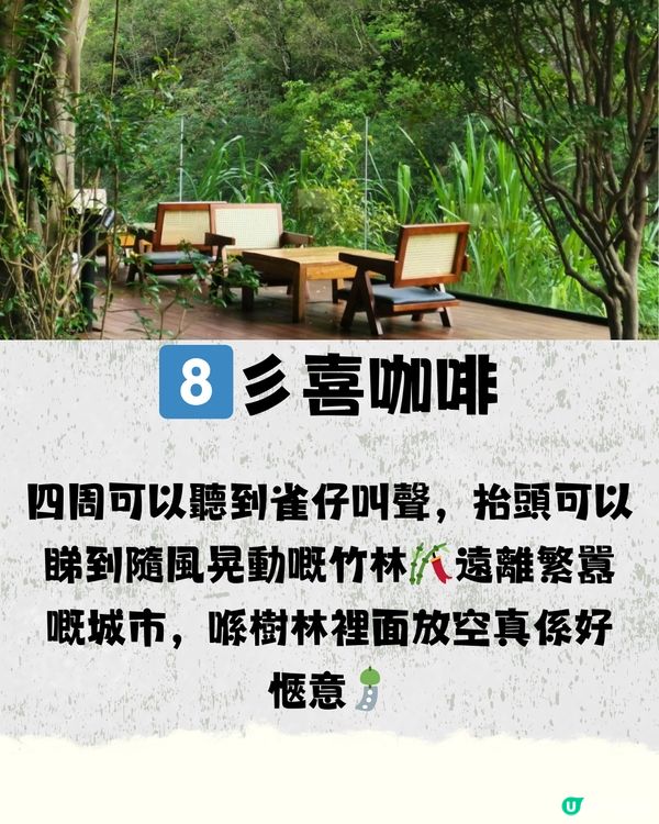 深圳避世咖啡店☕️8大打卡清單🧾附交通教學🚗