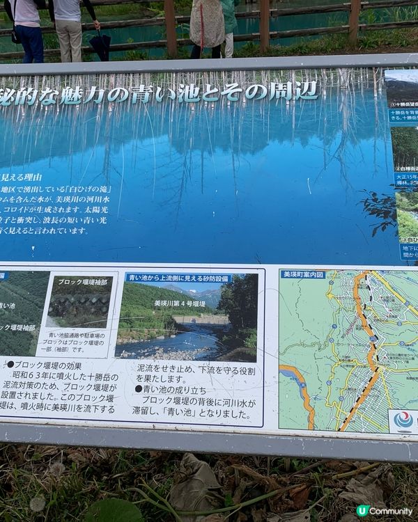 一生必去一次💙美瑛白金青池⛲️🧊