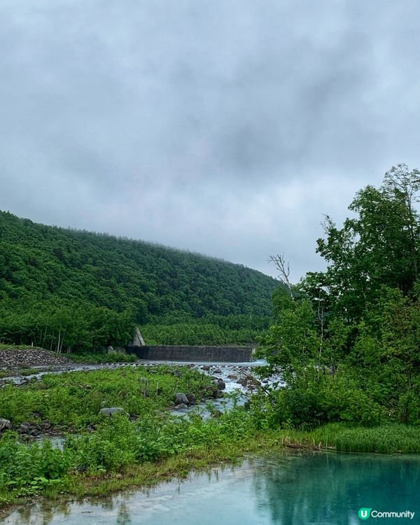 一生必去一次💙美瑛白金青池⛲️🧊