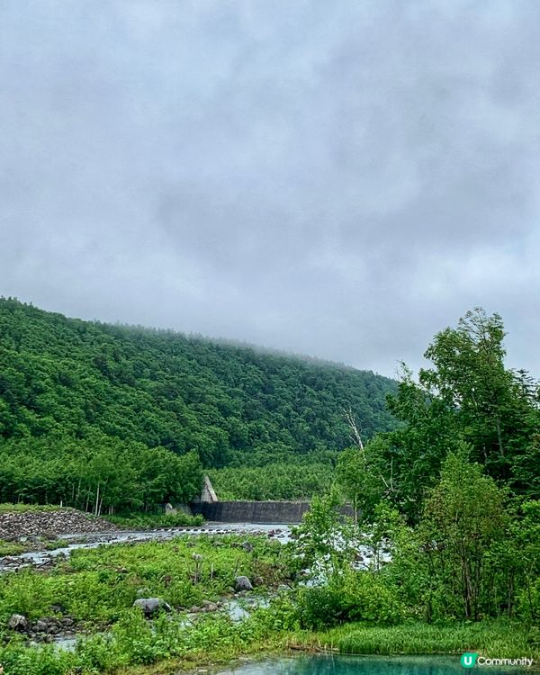 一生必去一次💙美瑛白金青池⛲️🧊