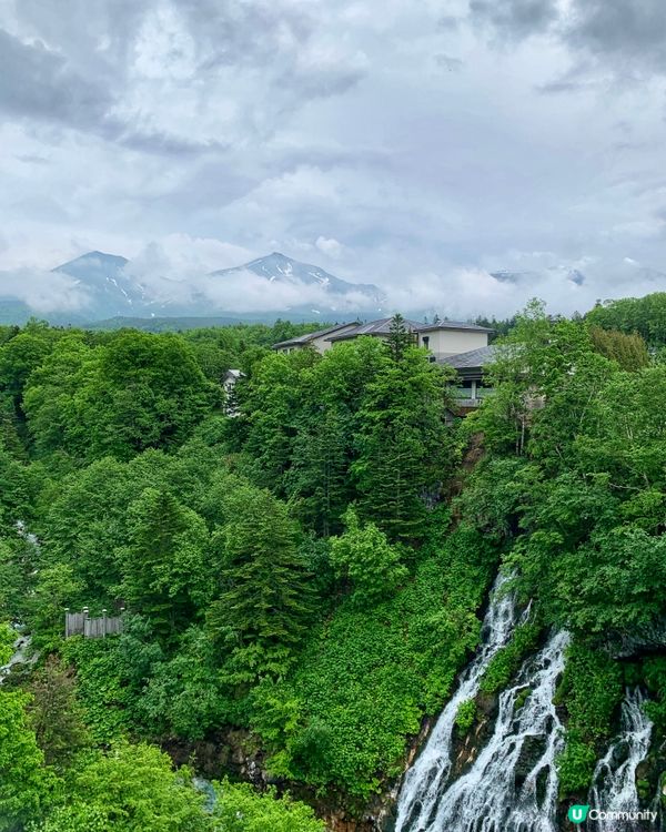 一生必去一次💙美瑛白金青池⛲️🧊