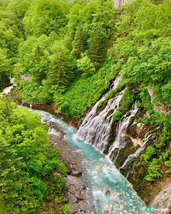 一生必去一次💙美瑛白金青池⛲️🧊