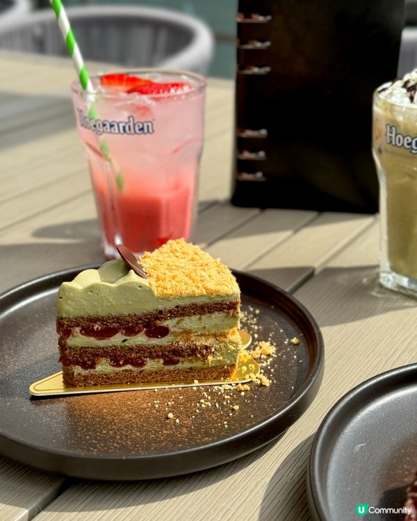 可以帶狗去露天座位