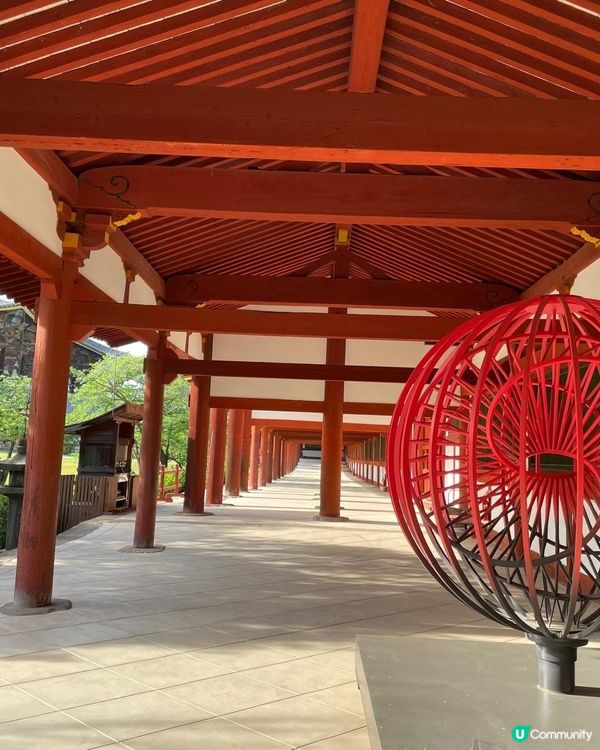  奈良美景與可愛的鹿🦌🦌