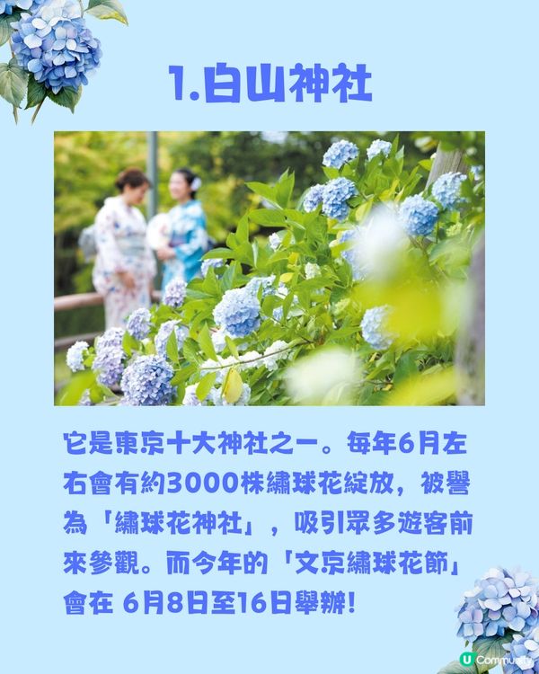 東京8大繡球花觀賞地💙💜2公里花路超夢幻😍市區近郊都有選擇😎