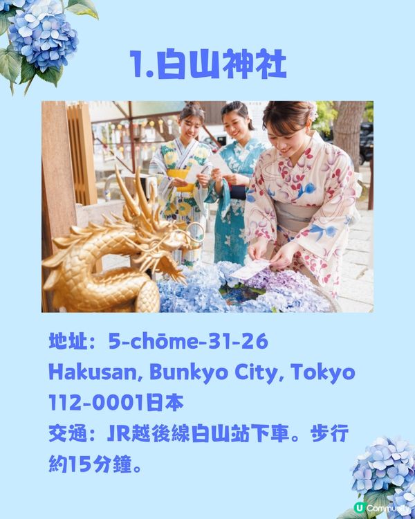東京8大繡球花觀賞地💙💜2公里花路超夢幻😍市區近郊都有選擇😎