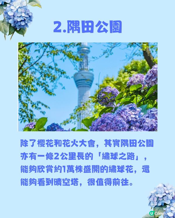 東京8大繡球花觀賞地💙💜2公里花路超夢幻😍市區近郊都有選擇😎