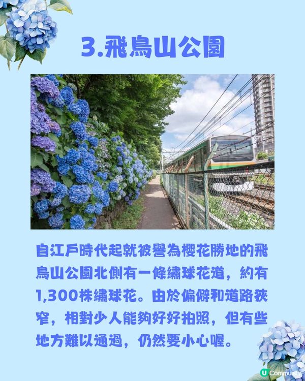 東京8大繡球花觀賞地💙💜2公里花路超夢幻😍市區近郊都有選擇😎