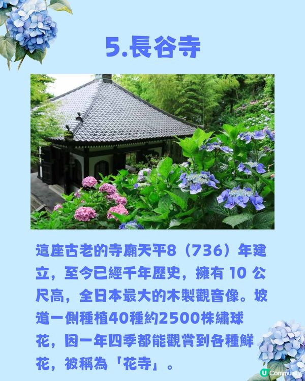 東京8大繡球花觀賞地💙💜2公里花路超夢幻😍市區近郊都有選擇😎