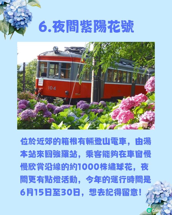 東京8大繡球花觀賞地💙💜2公里花路超夢幻😍市區近郊都有選擇😎