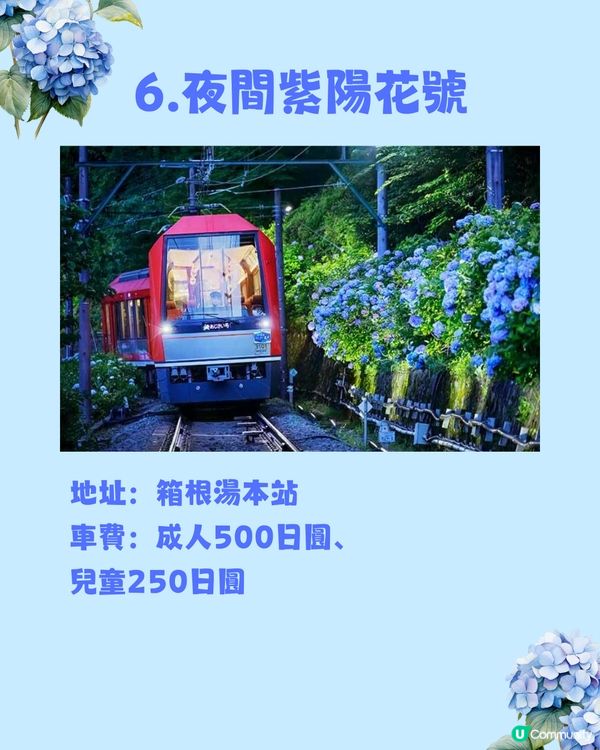 東京8大繡球花觀賞地💙💜2公里花路超夢幻😍市區近郊都有選擇😎