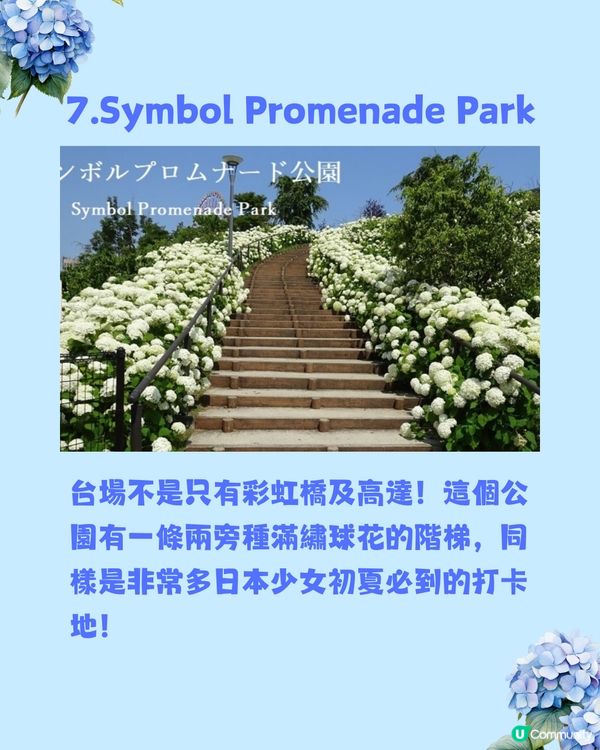 東京8大繡球花觀賞地💙💜2公里花路超夢幻😍市區近郊都有選擇😎