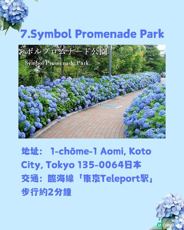 東京8大繡球花觀賞地💙💜2公里花路超夢幻😍市區近郊都有選擇😎