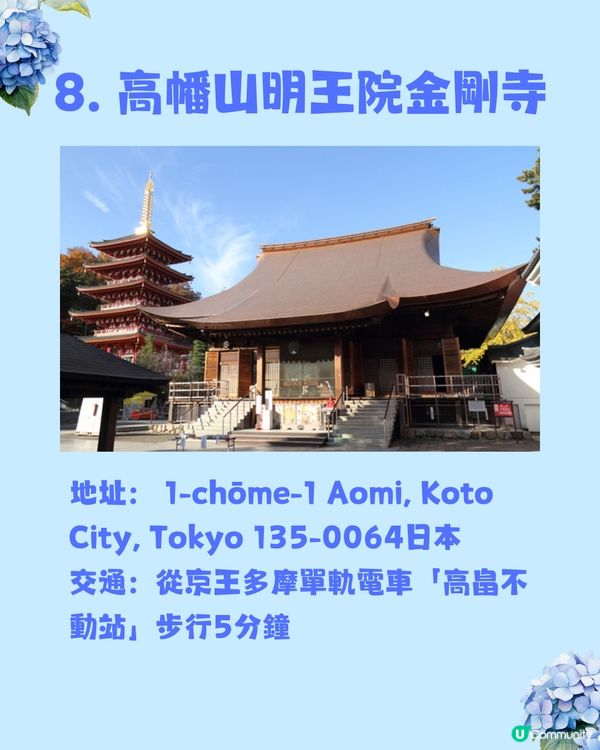 東京8大繡球花觀賞地💙💜2公里花路超夢幻😍市區近郊都有選擇😎
