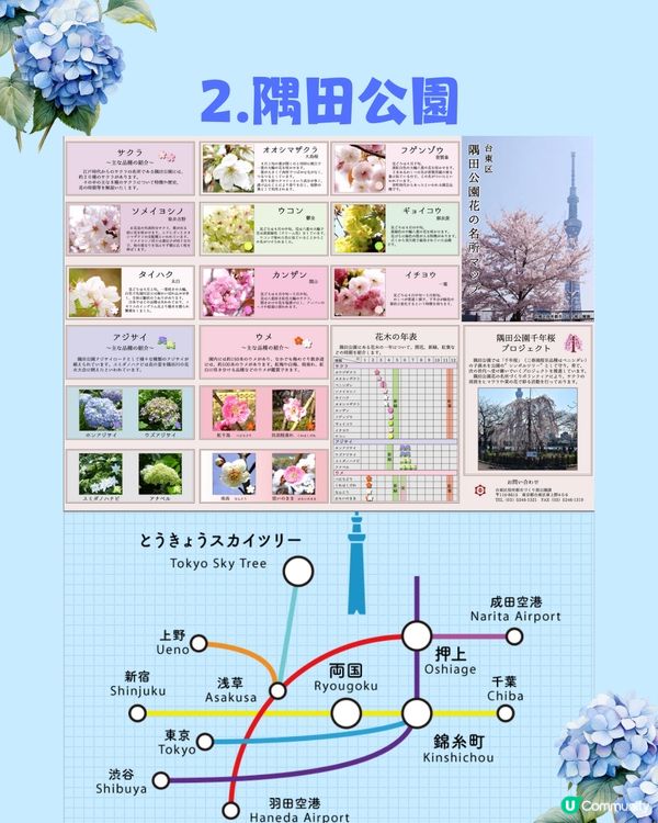 東京8大繡球花觀賞地💙💜2公里花路超夢幻😍市區近郊都有選擇😎