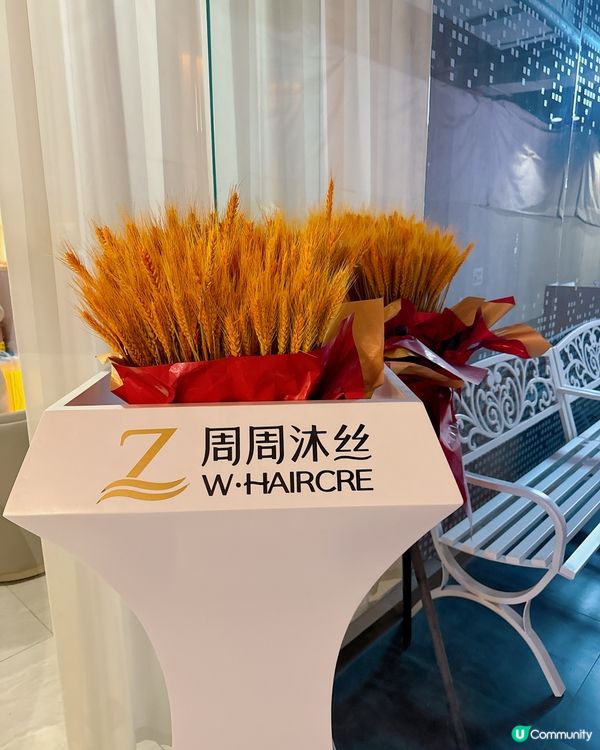 周周沐絲五號 Plus 店✨