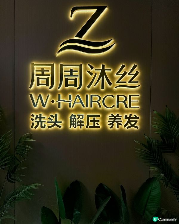 周周沐絲五號 Plus 店✨