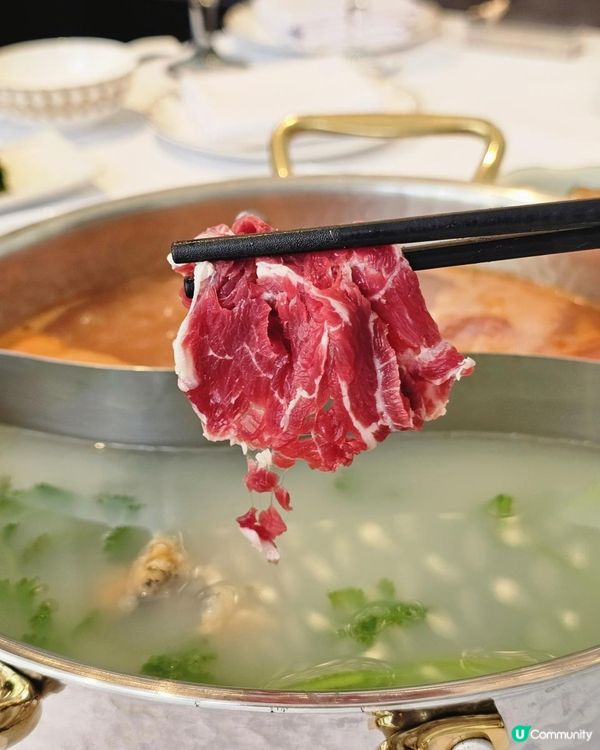 📍深圳必吃！高質海鮮牛肉火鍋～樾雲薈館🍲