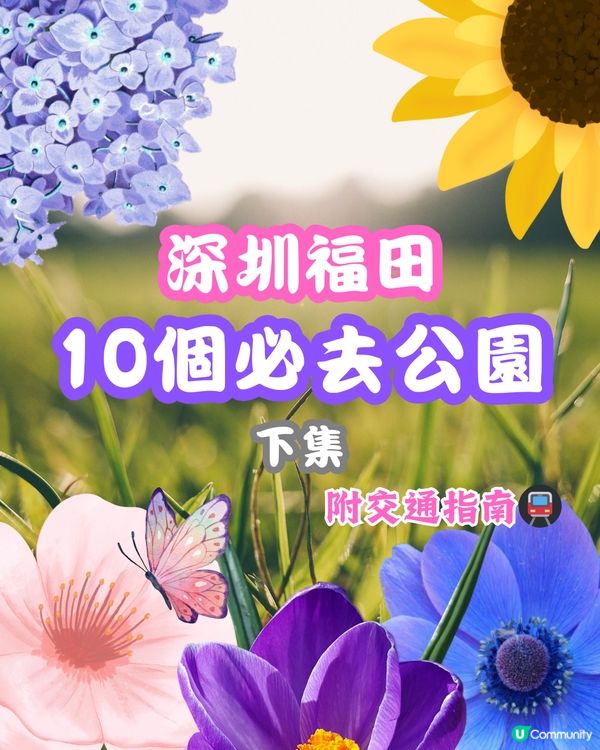 深圳福田10個必去公園-下集💐