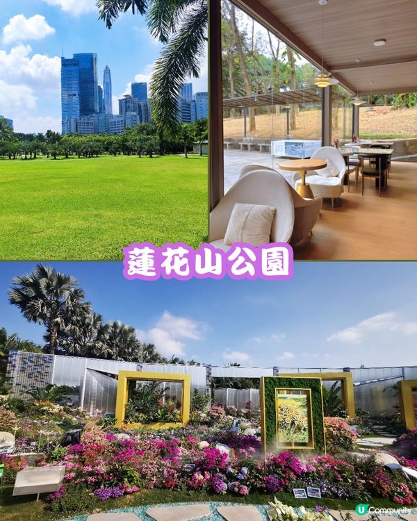 深圳福田10個必去公園-下集💐