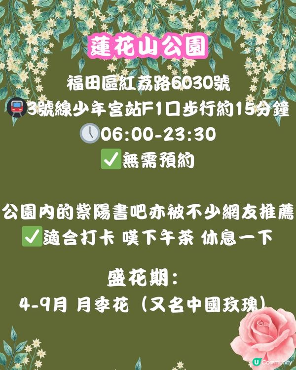 深圳福田10個必去公園-下集💐