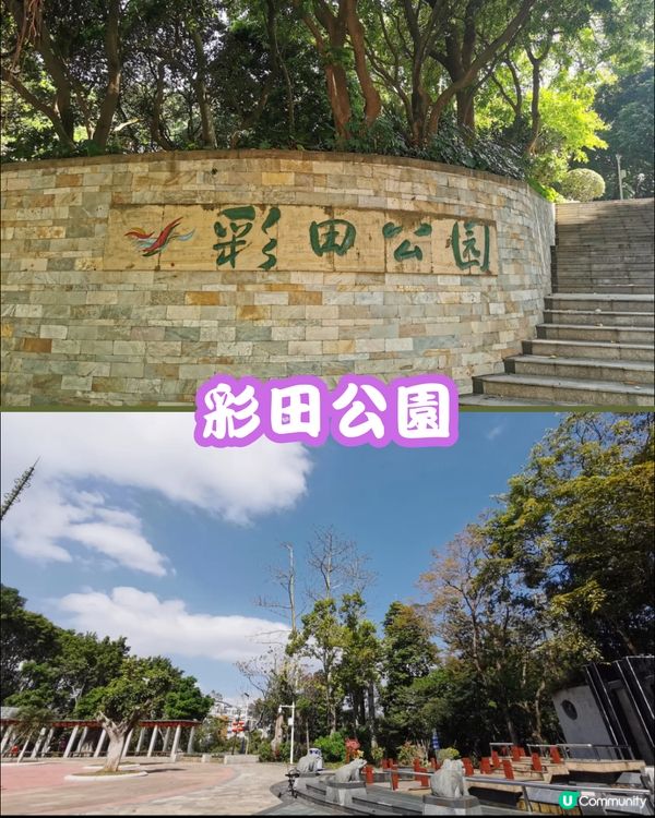 深圳福田10個必去公園-下集💐