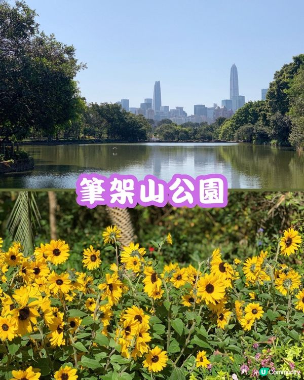深圳福田10個必去公園-下集💐