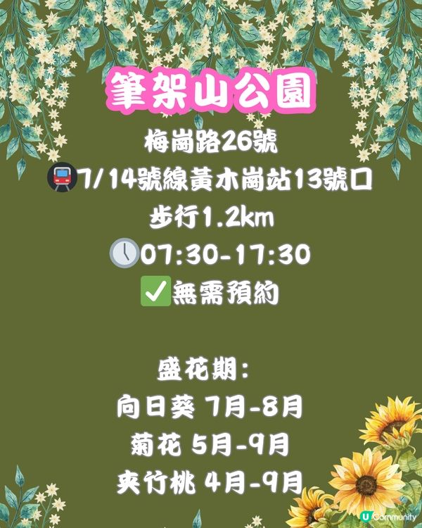 深圳福田10個必去公園-下集💐