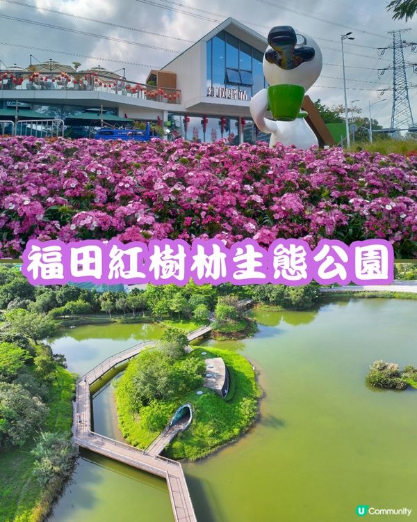 深圳福田10個必去公園-下集💐