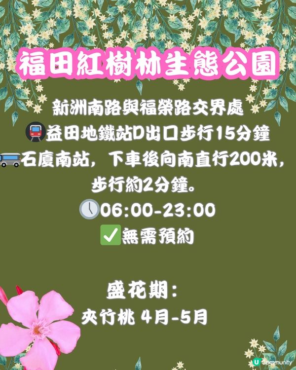 深圳福田10個必去公園-下集💐