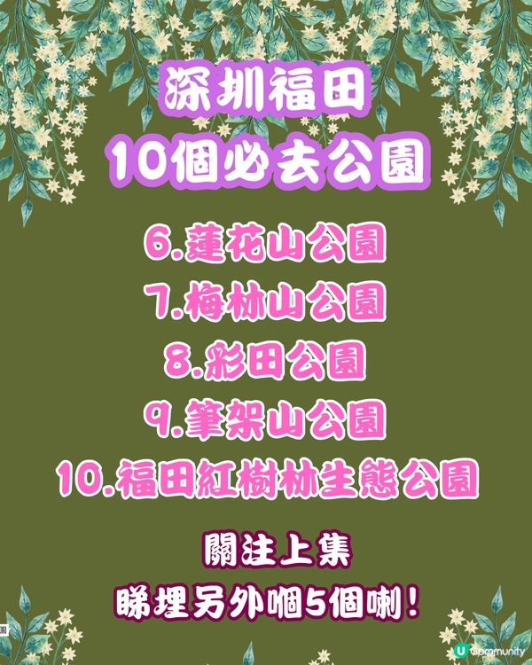 深圳福田10個必去公園-下集💐