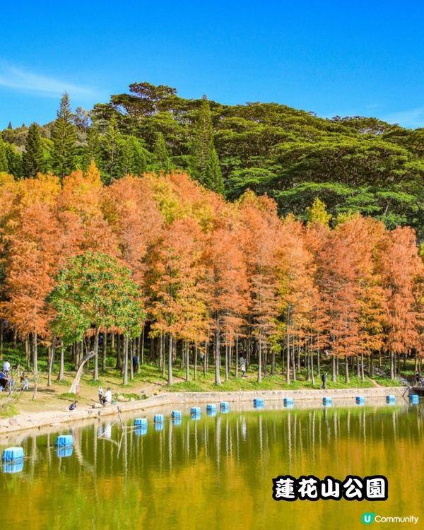 深圳福田10個必去公園-下集💐