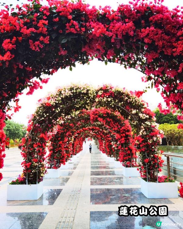 深圳福田10個必去公園-下集💐