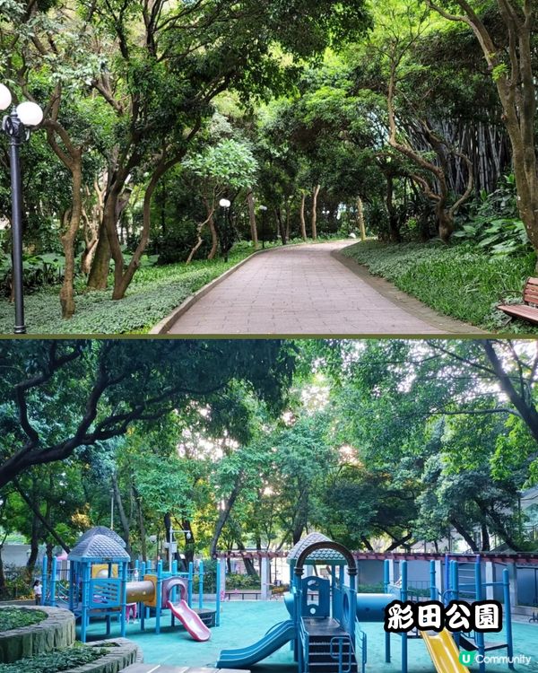 深圳福田10個必去公園-下集💐