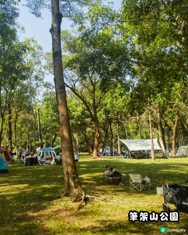 深圳福田10個必去公園-下集💐