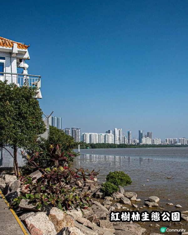 深圳福田10個必去公園-下集💐