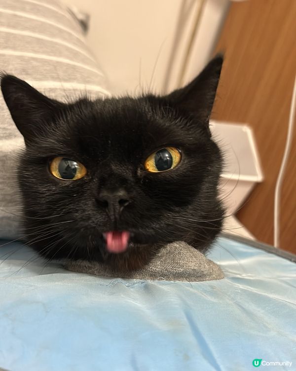 快啲好返啦😢👅