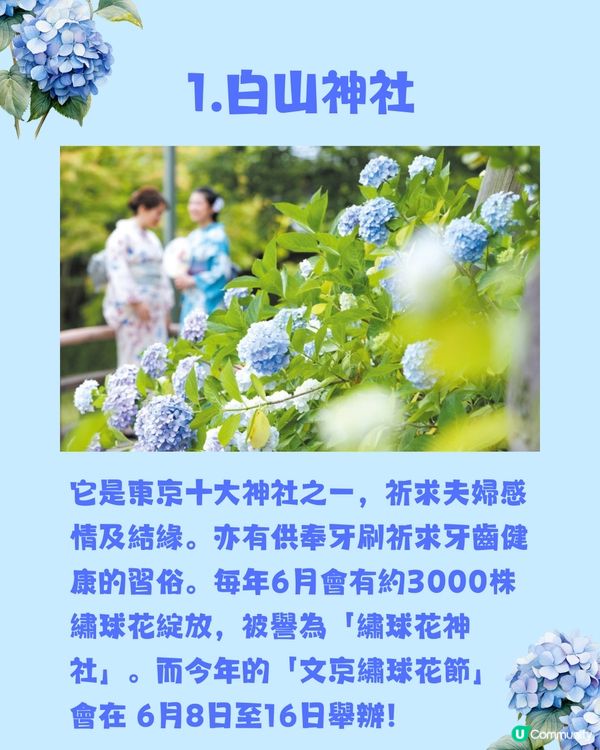 日本神社攻略⛩️入手初夏限定浪漫繡球花御守🎐💙