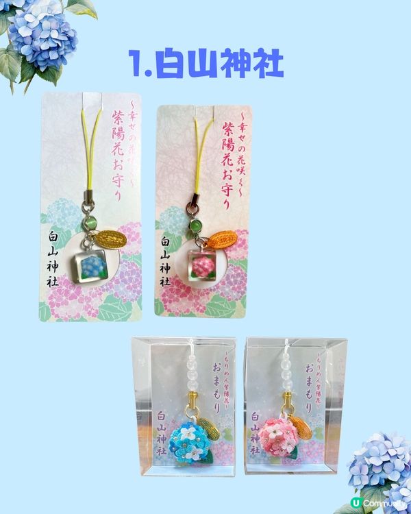 日本神社攻略⛩️入手初夏限定浪漫繡球花御守🎐💙