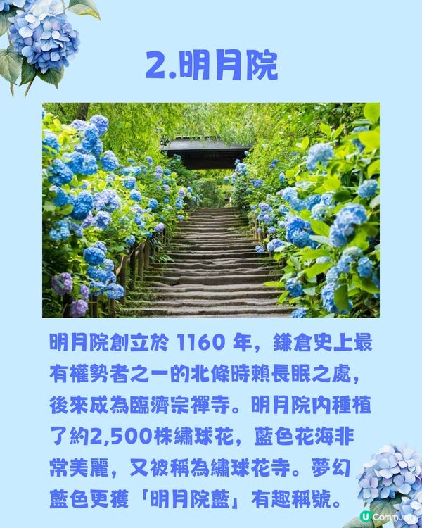 日本神社攻略⛩️入手初夏限定浪漫繡球花御守🎐💙
