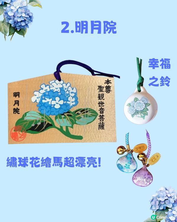 日本神社攻略⛩️入手初夏限定浪漫繡球花御守🎐💙