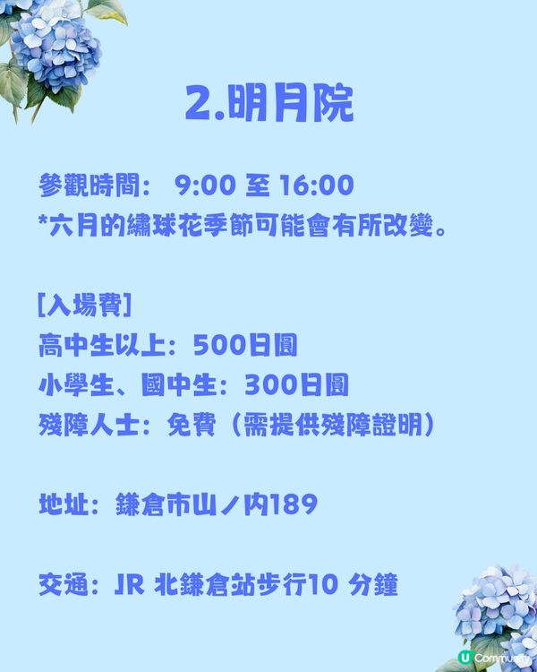 日本神社攻略⛩️入手初夏限定浪漫繡球花御守🎐💙