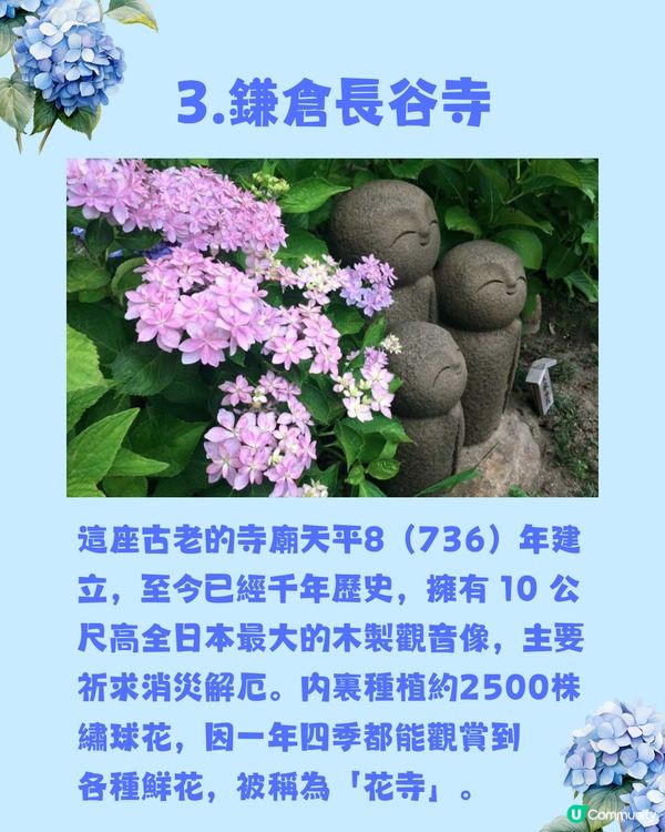 日本神社攻略⛩️入手初夏限定浪漫繡球花御守🎐💙