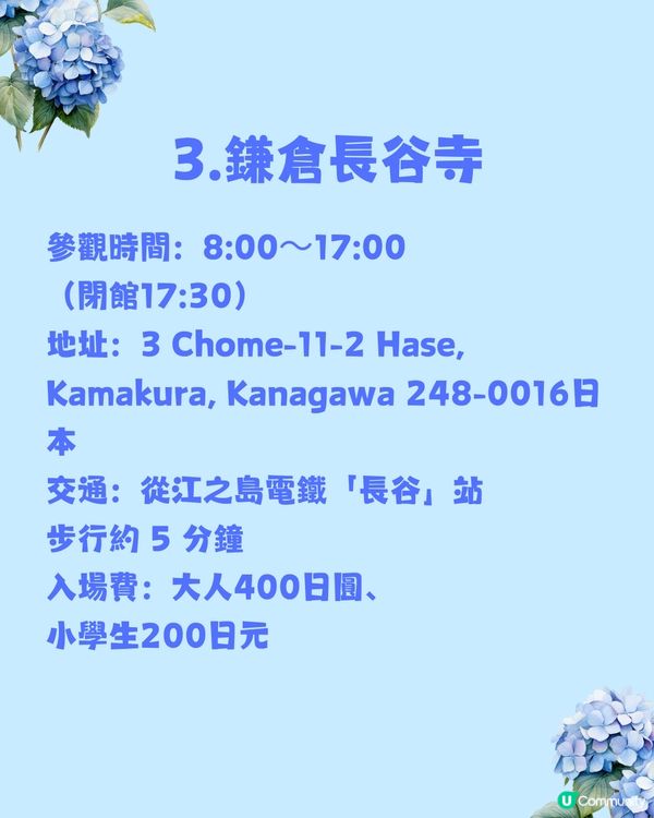 日本神社攻略⛩️入手初夏限定浪漫繡球花御守🎐💙