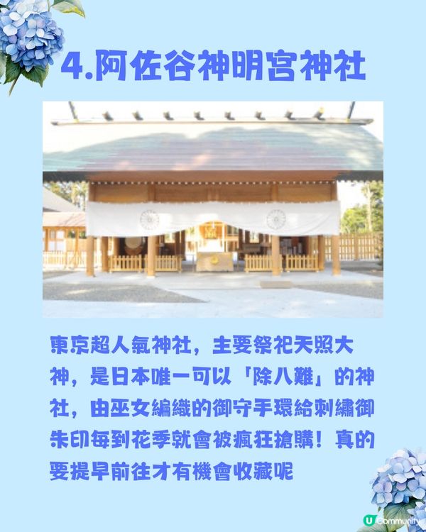 日本神社攻略⛩️入手初夏限定浪漫繡球花御守🎐💙