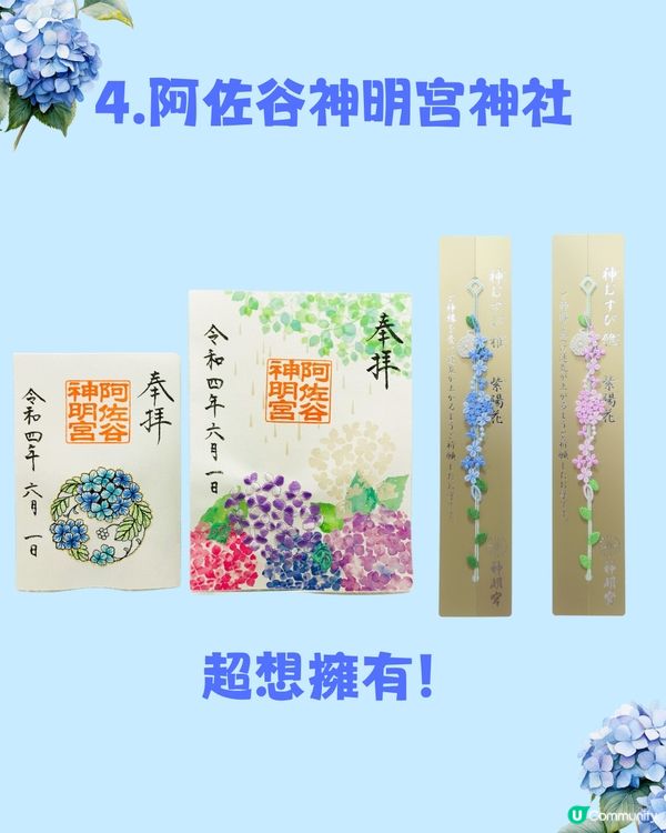 日本神社攻略⛩️入手初夏限定浪漫繡球花御守🎐💙