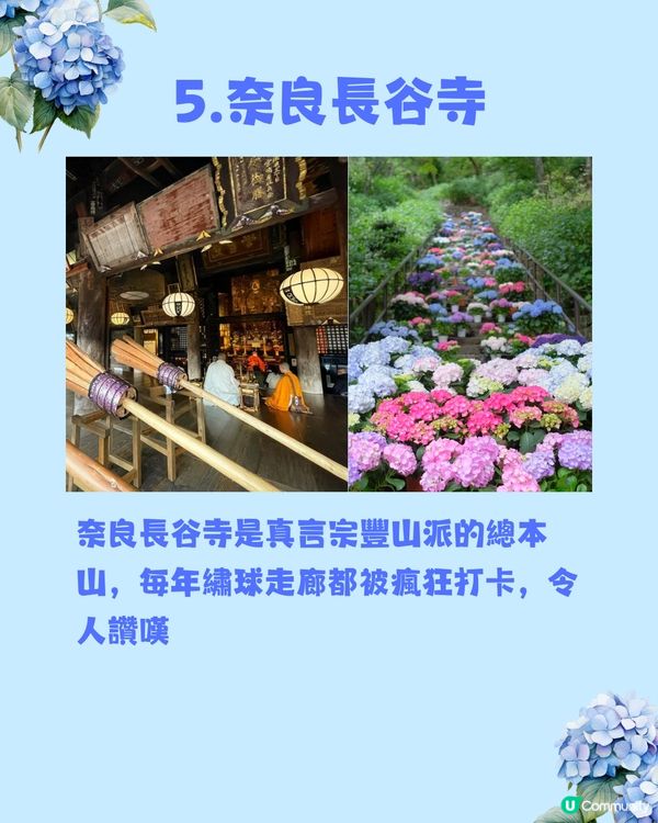 日本神社攻略⛩️入手初夏限定浪漫繡球花御守🎐💙