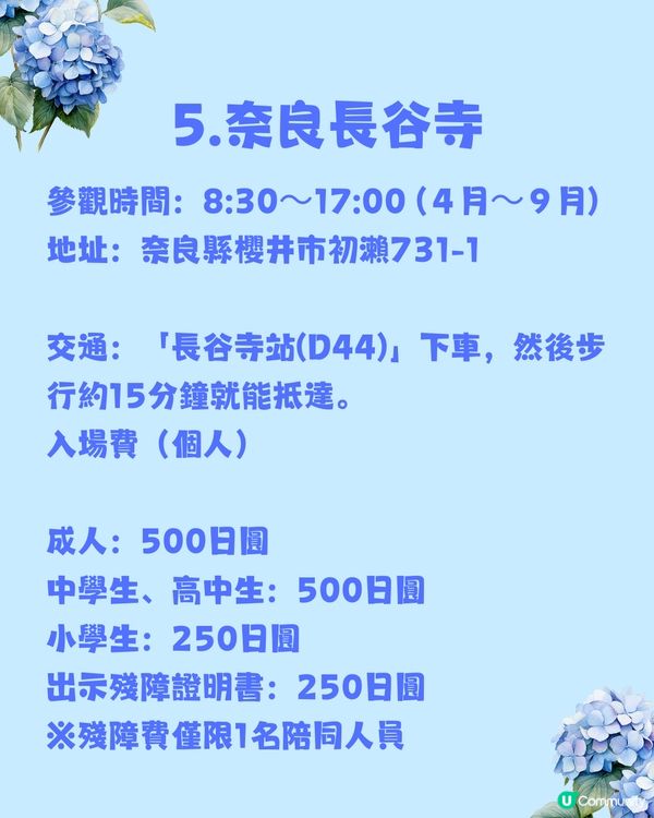 日本神社攻略⛩️入手初夏限定浪漫繡球花御守🎐💙