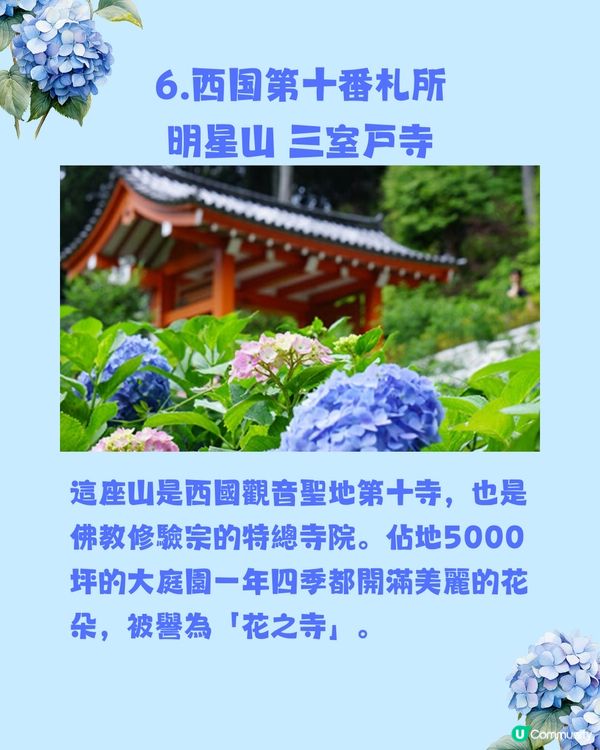 日本神社攻略⛩️入手初夏限定浪漫繡球花御守🎐💙