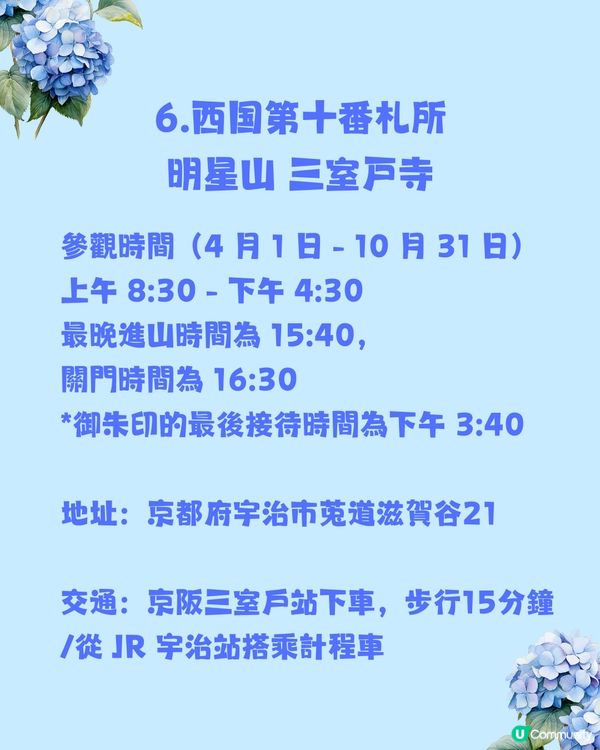 日本神社攻略⛩️入手初夏限定浪漫繡球花御守🎐💙